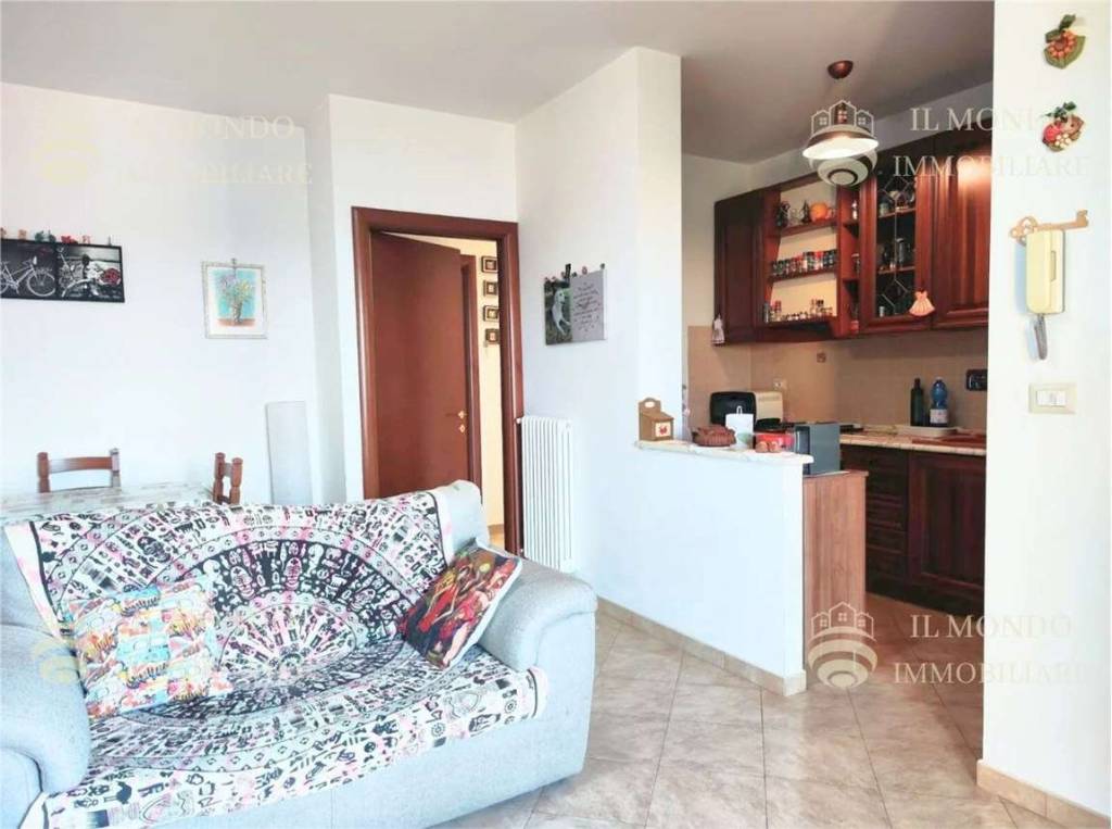 immagine annuncio 9 di 15