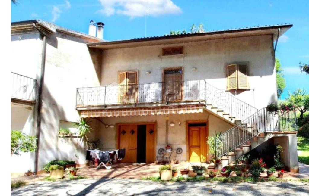 immagine annuncio 2 di 13