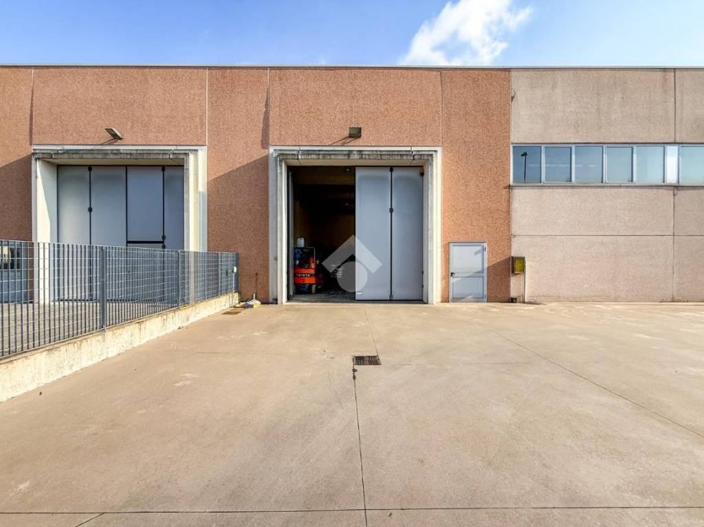 immagine annuncio 5 di 15