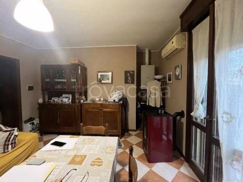 immagine annuncio 5 di 12