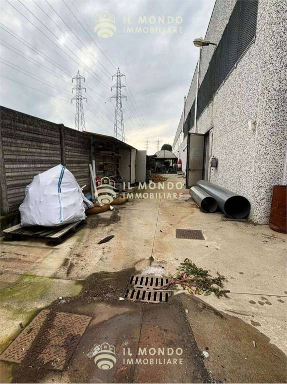 immagine annuncio 2 di 15