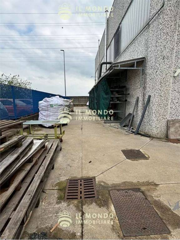 immagine annuncio 3 di 15