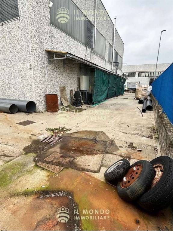 immagine annuncio 4 di 15