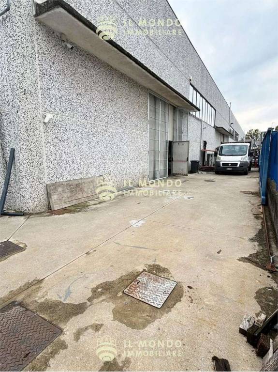 immagine annuncio 5 di 15