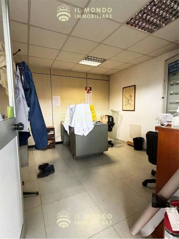 immagine annuncio 7 di 15