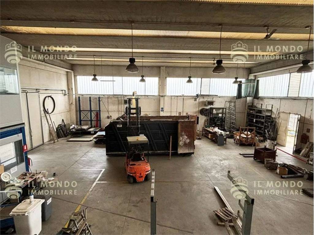 immagine annuncio 9 di 15