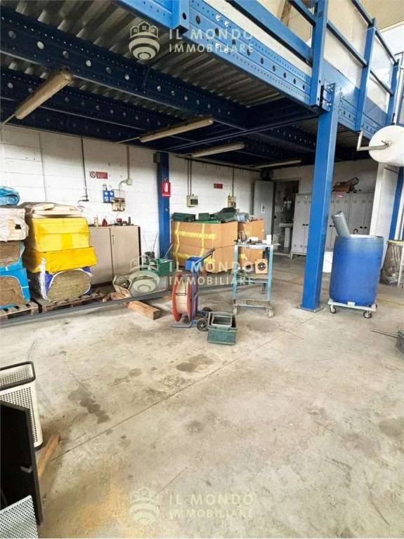 immagine annuncio 11 di 15