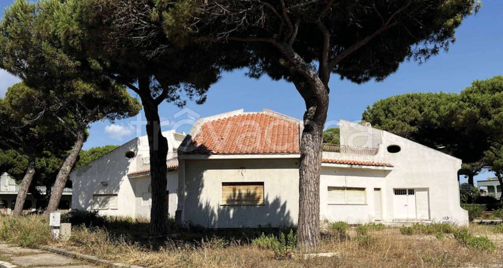 immagine annuncio 10 di 11