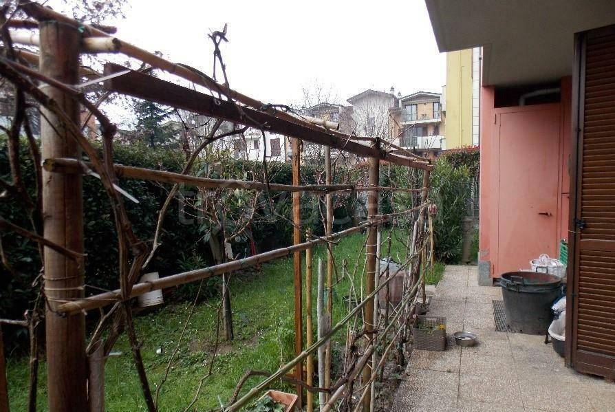 immagine annuncio 9 di 15