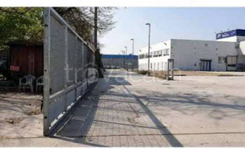 immagine annuncio 5 di 12