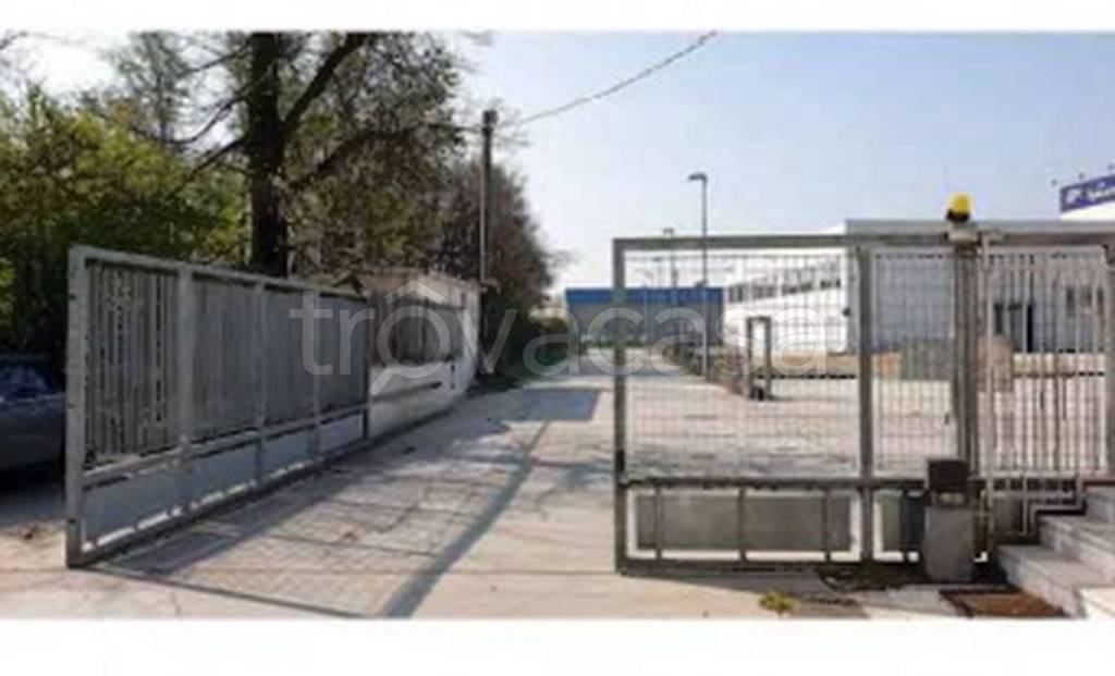 immagine annuncio 6 di 12