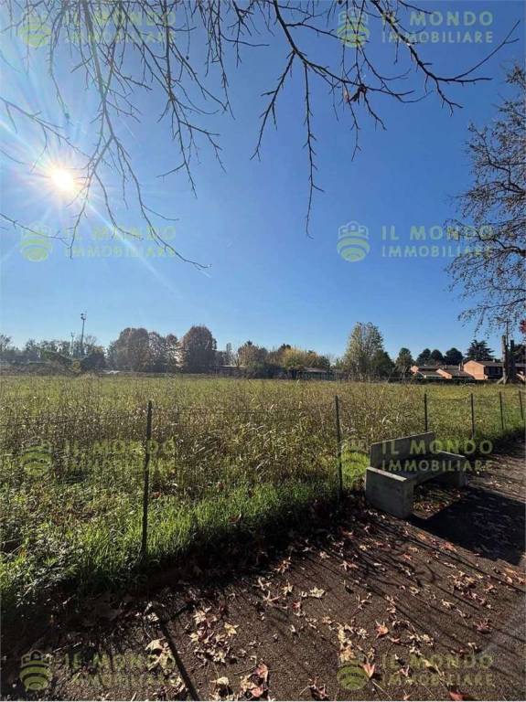 immagine annuncio 3 di 12