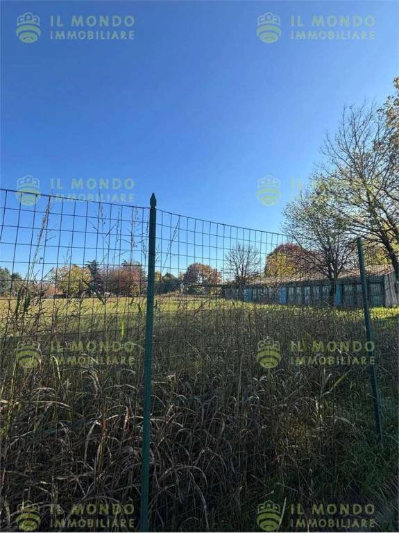 immagine annuncio 4 di 12