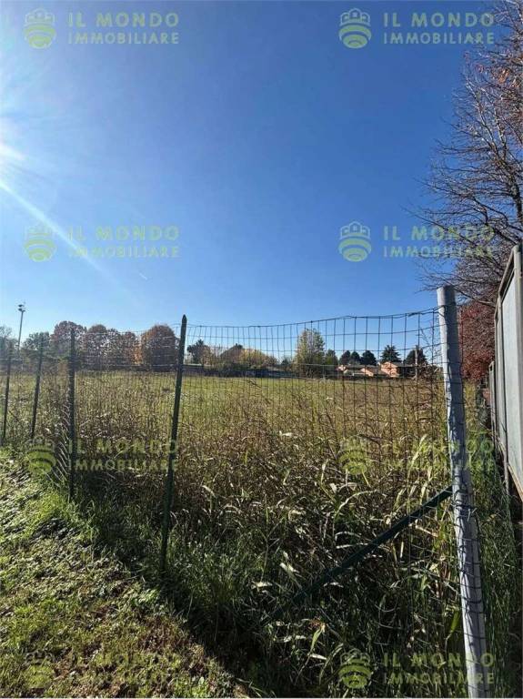 immagine annuncio 5 di 12