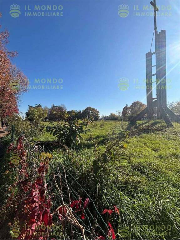 immagine annuncio 7 di 12