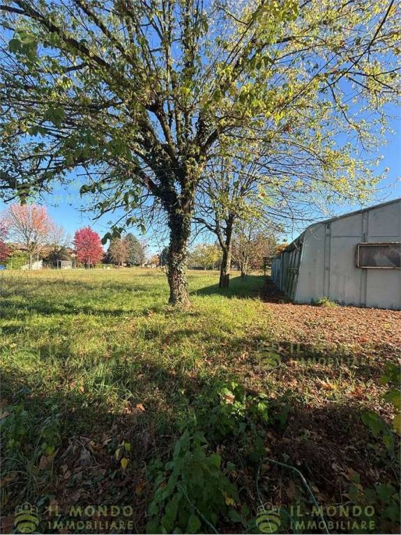 immagine annuncio 8 di 12