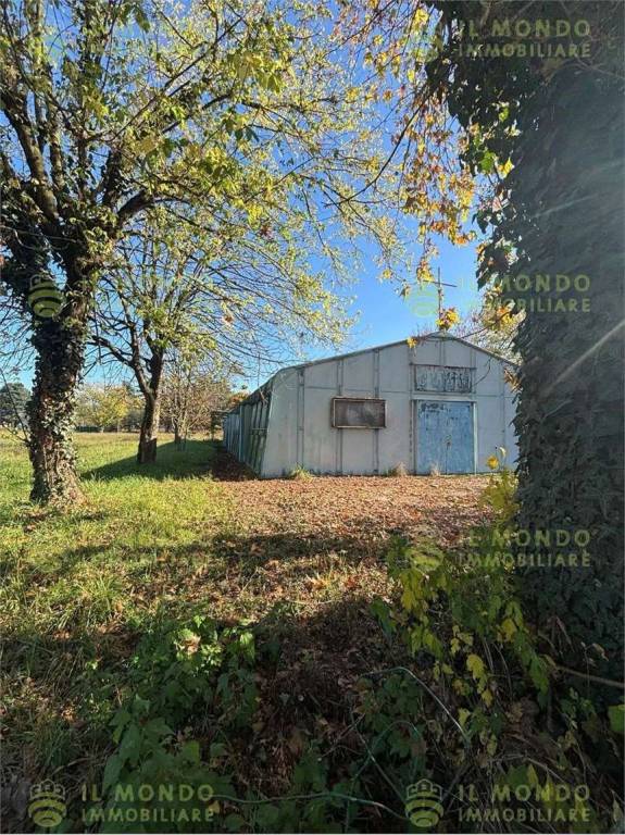 immagine annuncio 9 di 12