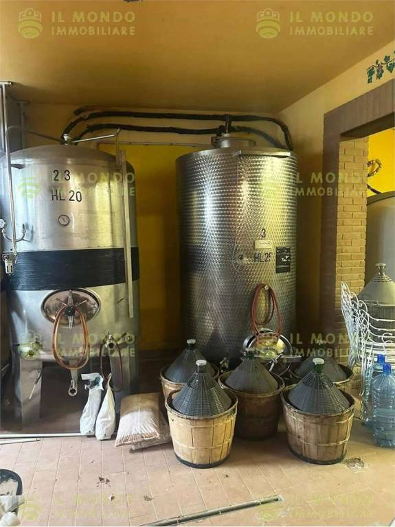 immagine annuncio 13 di 15