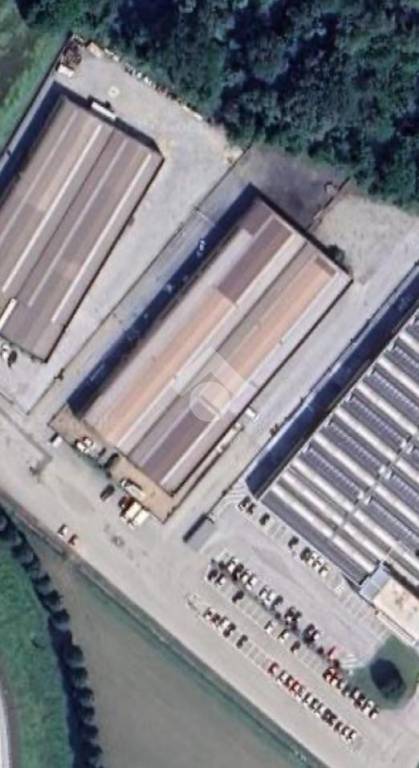 immagine annuncio 4 di 8