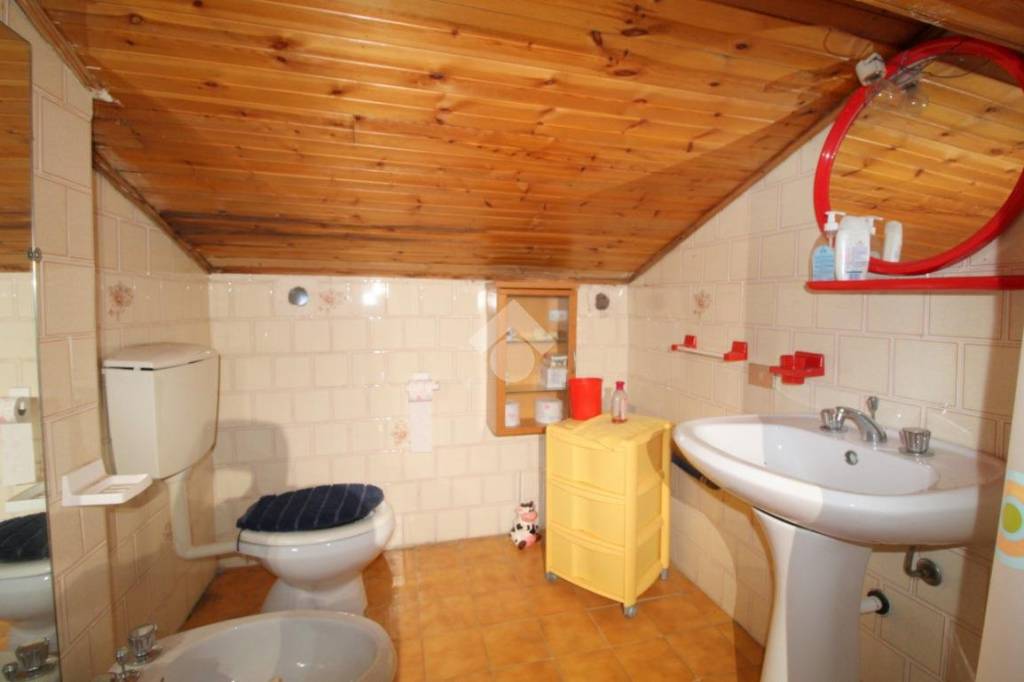 immagine annuncio 11 di 14