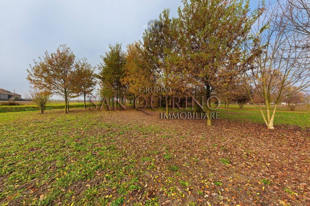 immagine annuncio 7 di 8