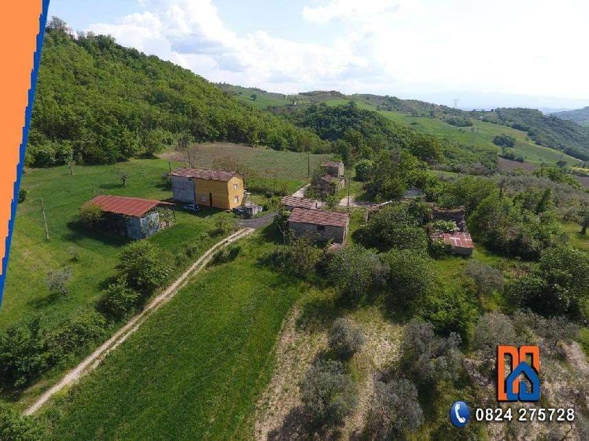 immagine annuncio 1 di 4