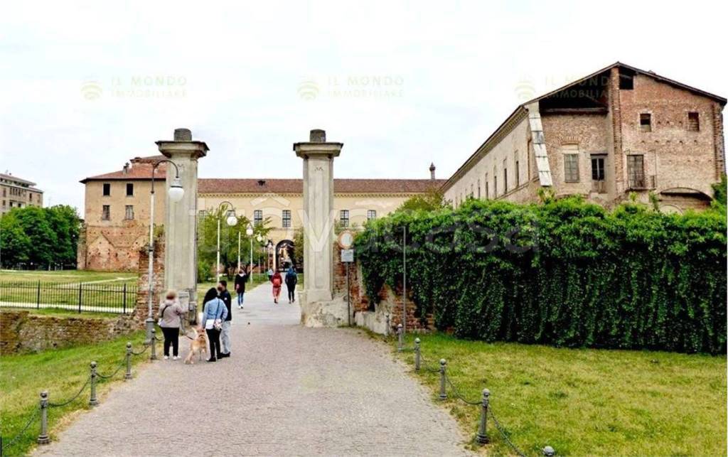 immagine annuncio 1 di 7