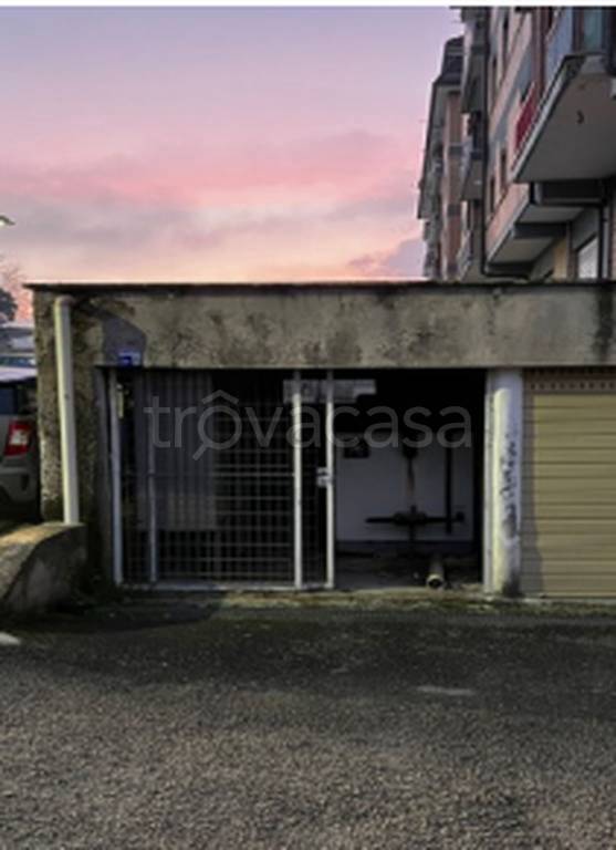 immagine annuncio 3 di 11