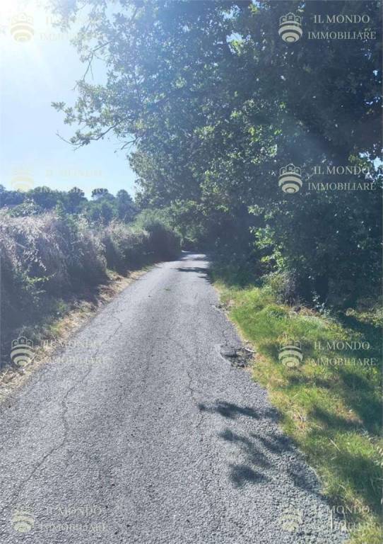 immagine annuncio 5 di 7