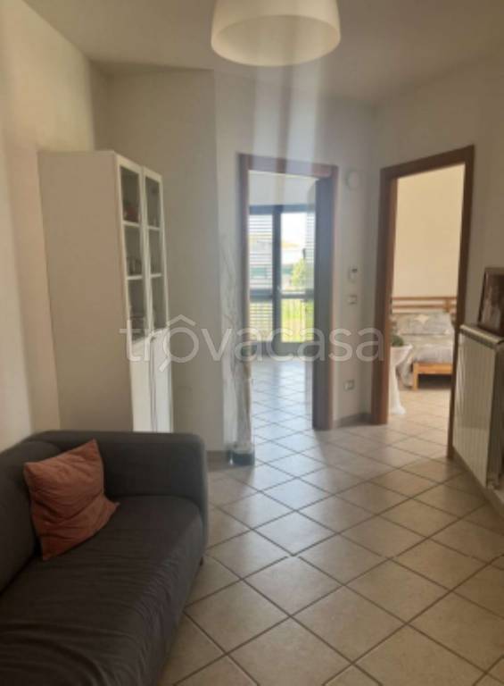 immagine annuncio 8 di 13