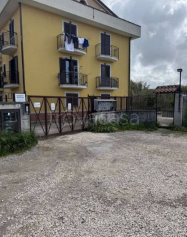 immagine annuncio 2 di 13