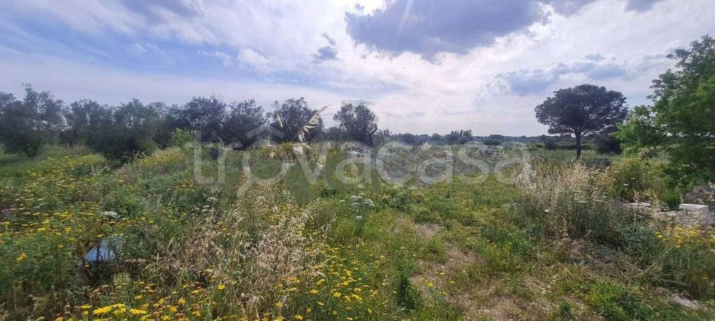 immagine annuncio 2 di 12