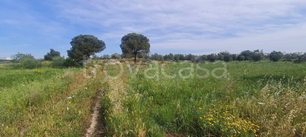 immagine annuncio 4 di 12