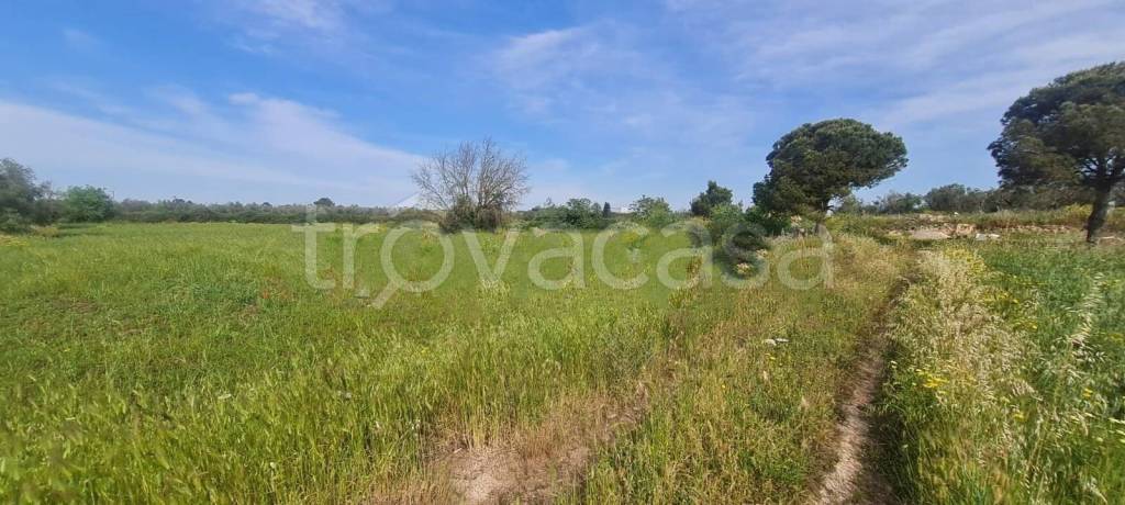 immagine annuncio 5 di 12