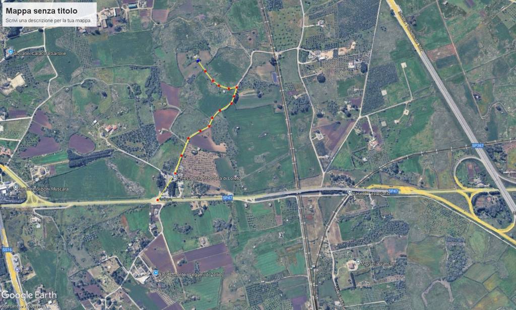 immagine annuncio 7 di 12