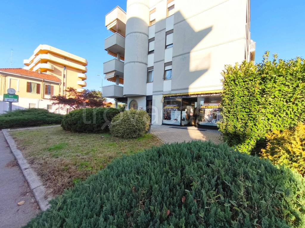 immagine annuncio 3 di 15