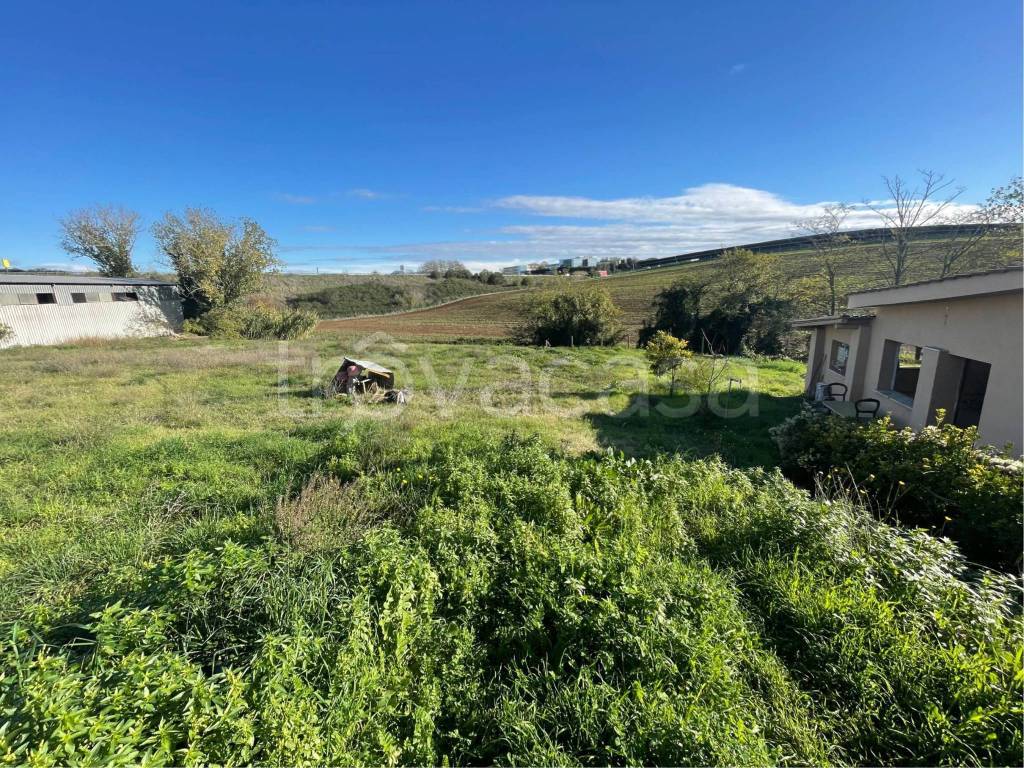 immagine annuncio 2 di 7