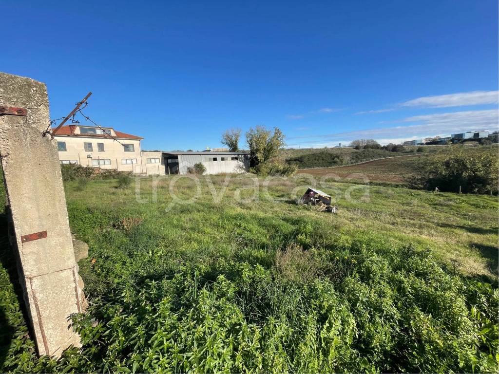 immagine annuncio 6 di 7