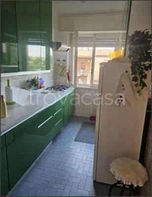 immagine annuncio 6 di 12