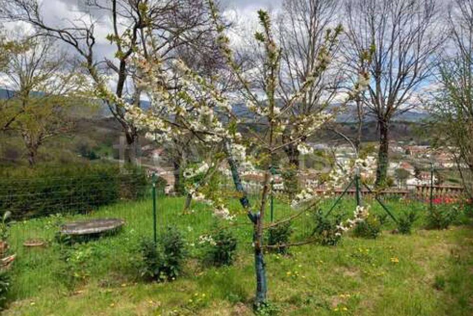 immagine annuncio 3 di 11