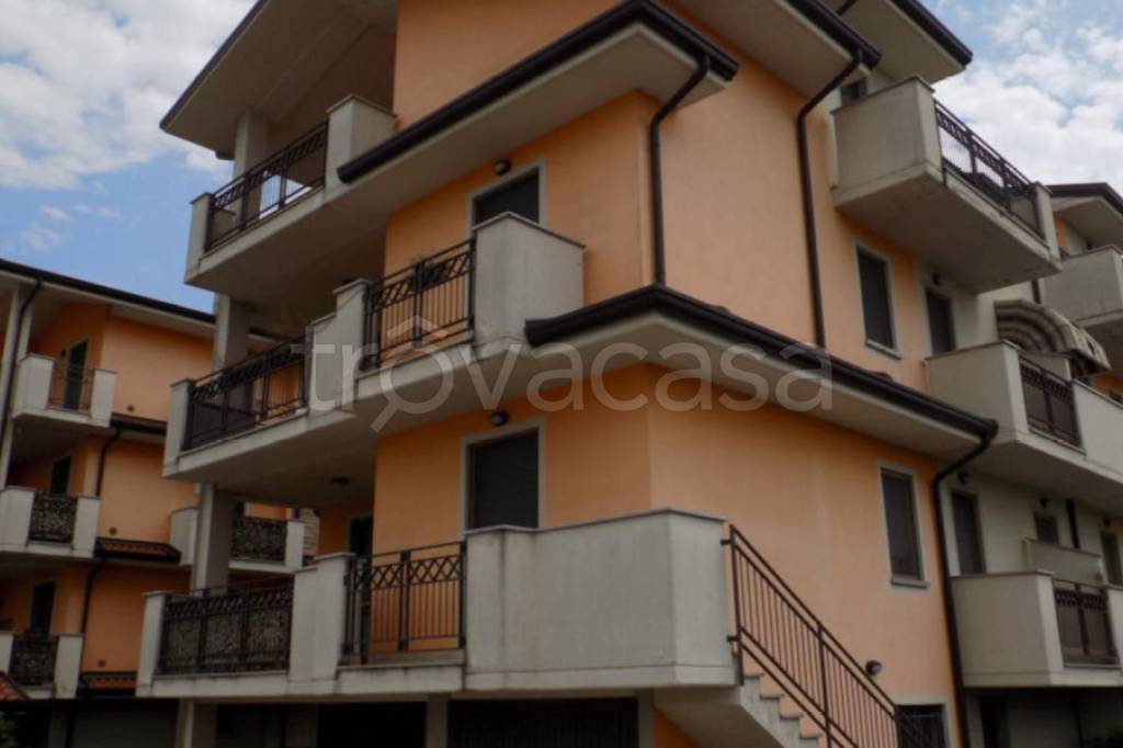 immagine annuncio 9 di 15