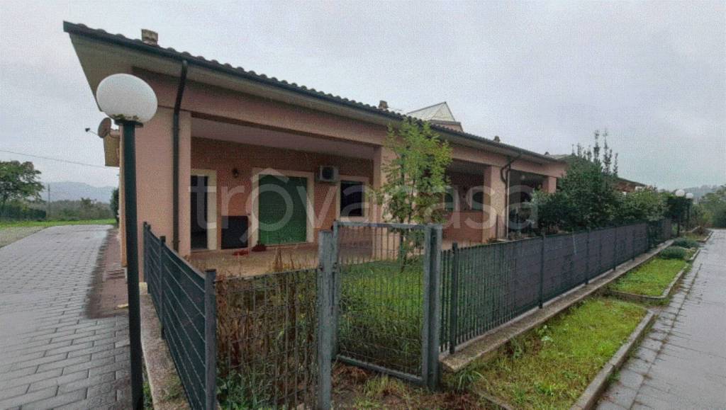 immagine annuncio 1 di 14