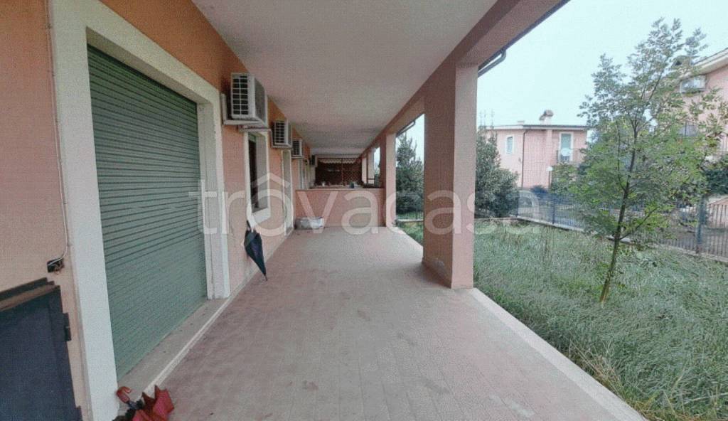 immagine annuncio 4 di 13