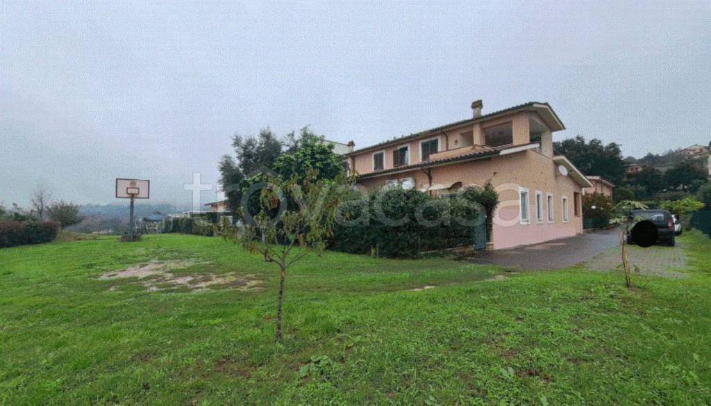 immagine annuncio 9 di 13