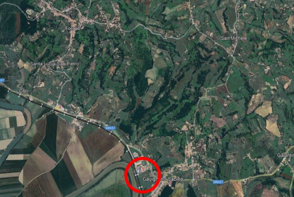 immagine annuncio 12 di 13