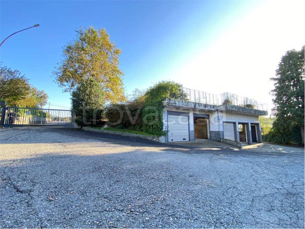 immagine annuncio 11 di 15