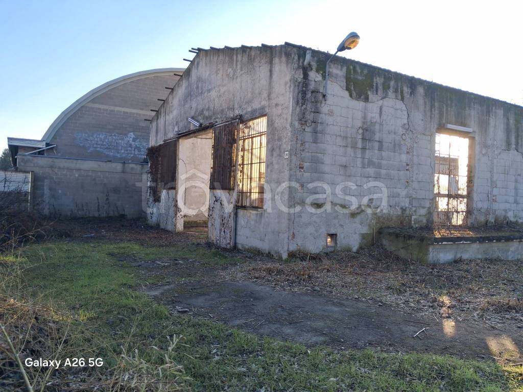 immagine annuncio 2 di 12