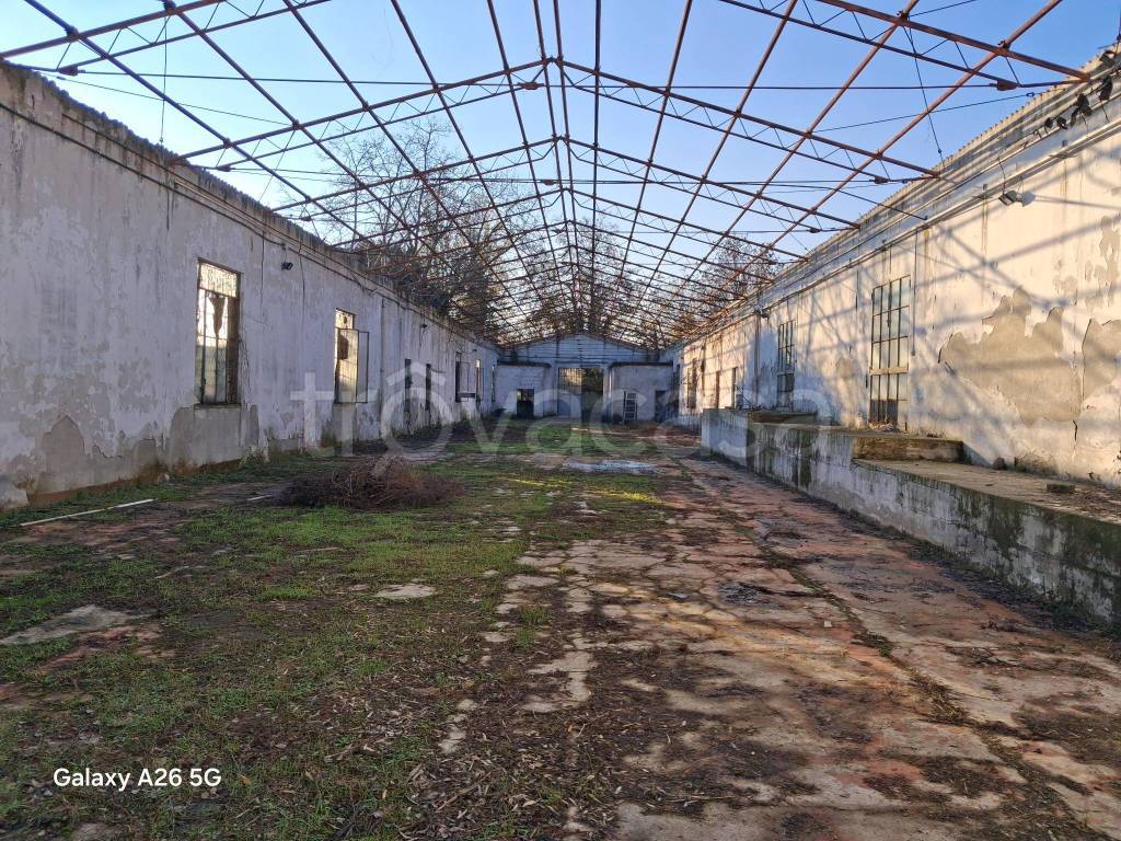 immagine annuncio 5 di 12