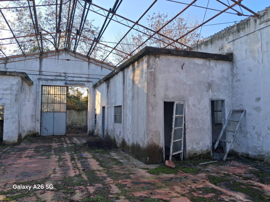 immagine annuncio 6 di 12