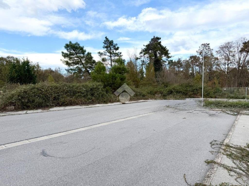 immagine annuncio 3 di 11